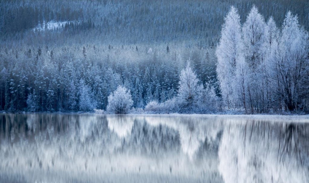 A frozen lake with trees reflected in it.