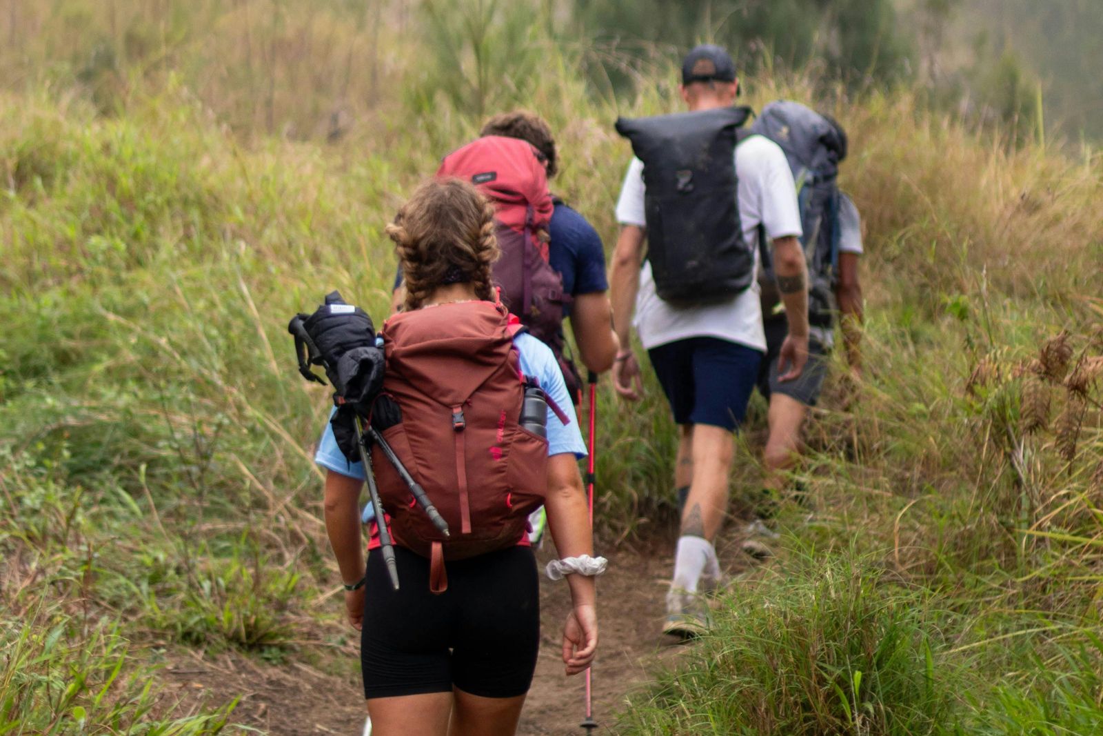 Four people with backpacks hike along a grassy trail, heading uphill through dense vegetation.