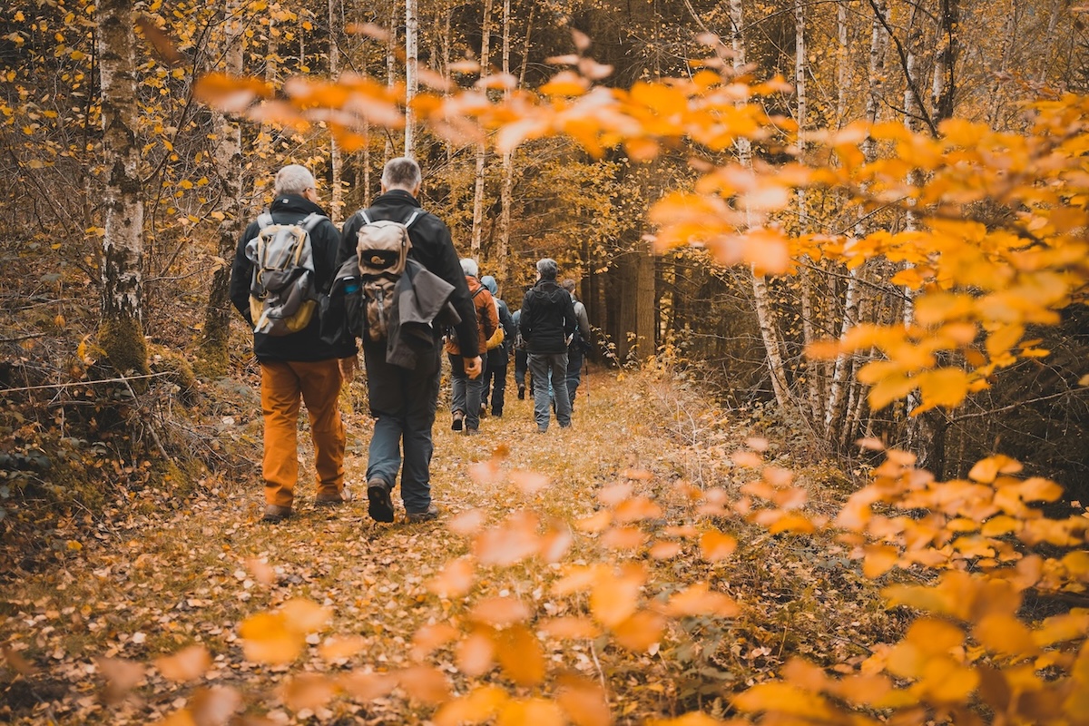 A group of people with backpacks hike along a forest trail surrounded by autumn foliage and trees with yellow leaves.
